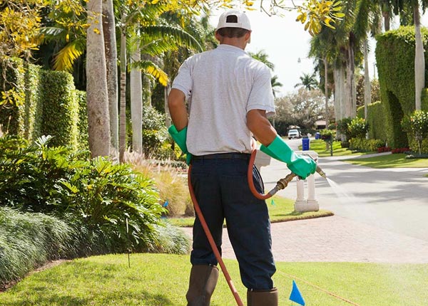About Durant FL Pest Control